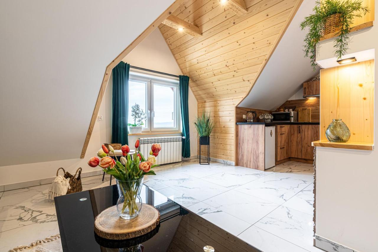 Widokowy Apartament - Pokoje Goscinne Banska Wyzna 外观 照片