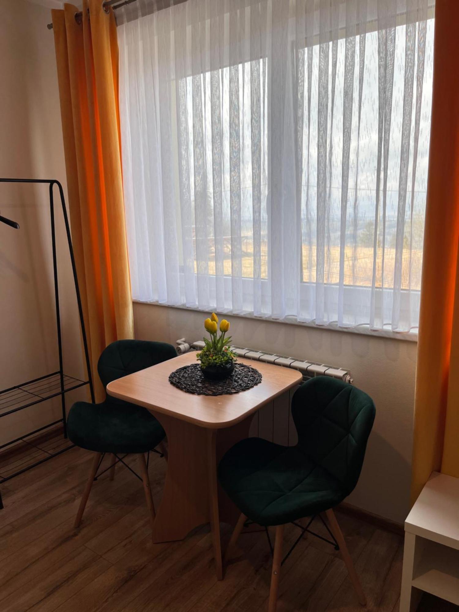 Widokowy Apartament - Pokoje Goscinne Banska Wyzna 外观 照片